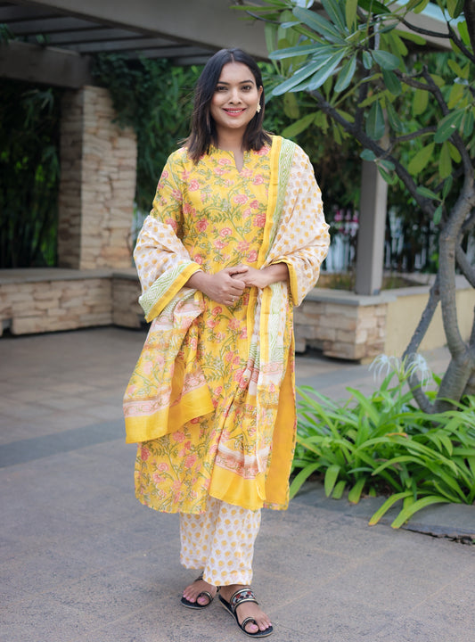 Aafreen - Chanderi Suit Set